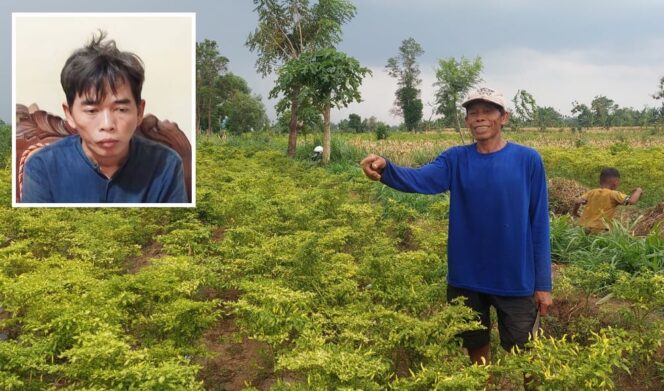 
					WASPADA: Korban pencurian cabai di Kota Probolinggo menunjukkan area tanaman cabai yang sempat 'dipanen' pelaku. (insert). (foto: Hafiz Rozani).