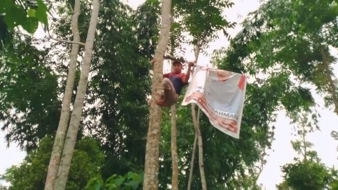 
					DICOPOT: Petugas Bawaslu Kabupaten Probolinggo saat turunkan APK di masa tenang. (foto: Ali Ya'lu)