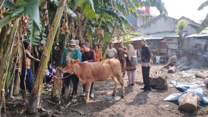 
					VAKSINASI: Petugas medis dari Dinas Pertanian, Ketahanan Pangan dan Perikanan (DPKPP) Kota Probolingggo, saat melakukan vaksinasi pada hewan terdeteksi virus LSD. (foto: istimewa).