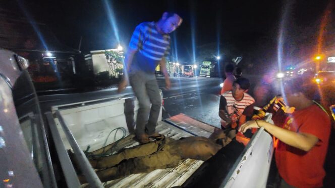 
					DIEVAKUASI: Warga menaikkan korban tabrak lari ke mobil polisi untuk dibawa ke rumah sakit. (foto: Hafiz Rozani).