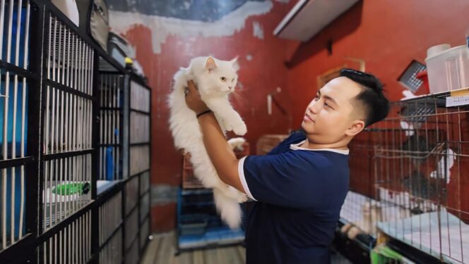
					BANJIR TITIPAN: Nasrul Fatah mengajak main kucing yang dititipkan oleh pemiliknya. (foto: Hafiz Rozani).