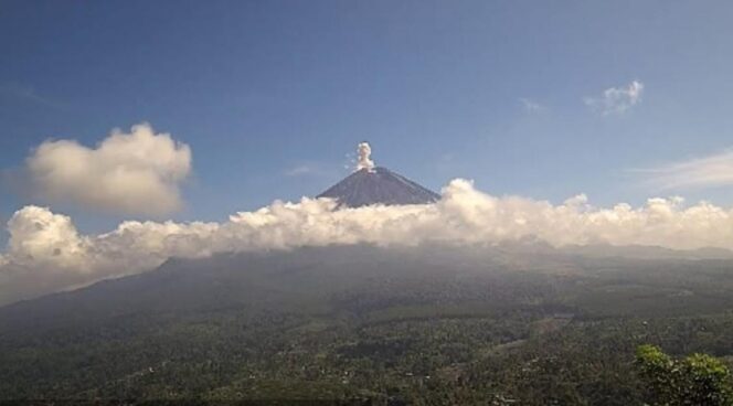 
					ERUPSI: Gunung Semeru kembali erupsi dengan ketinggian material letusan 800 meter dari puncak kawah. (foto: Asmadi).
