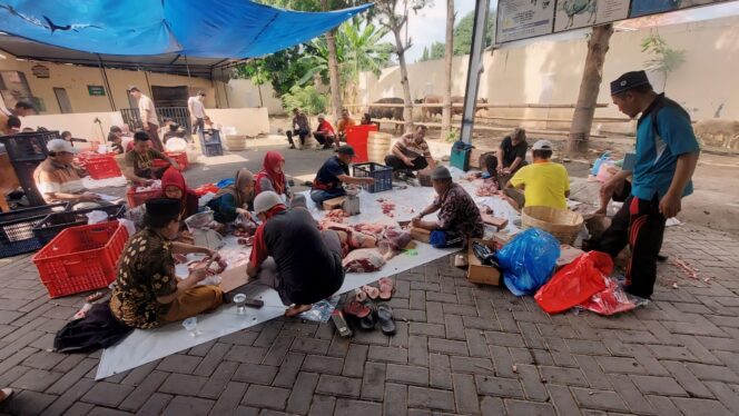 
					RAMAI: Suasana penyembelihan hewan kurban di RPH Kota Probolinggo. (foto: Hafiz Rozani).