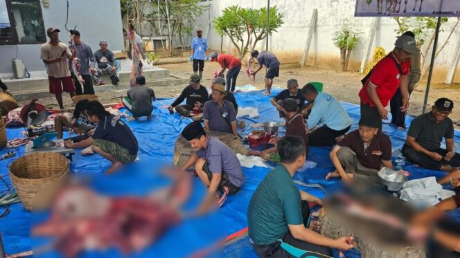 
					BERQURBAN: Sejumlah warga di Kabupaten memotong daging qurban. (foto: Ali Ya'lu).