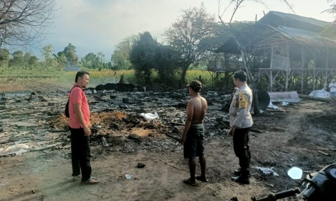 
					RATA TANAH: Kondisi kandang ayam di Plososari,  Kecamatan Grati, Kabupaten Pasuruan, rata dengan tanah pasca dilalap si jago merah. (foto: Moh. Rois).