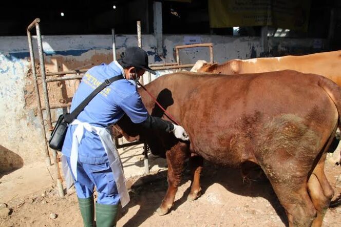 
					Rumah potong hewan yang harus bersertifikat halal.
