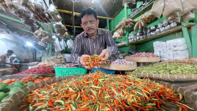 
					NAIK: Salah satu pedagang di Pasar Baru Kota Probolinggo memegang cabai rawit yang stoknya mulai menipis.
