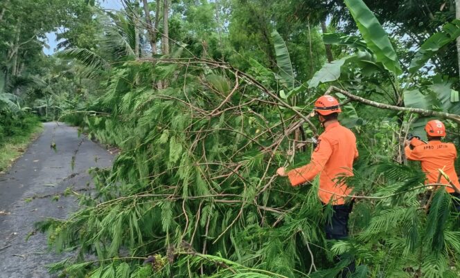 
					Pohon tumbang di sekitar tiang listrik PLN.