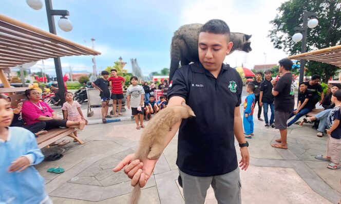 
					PECINTA HEWAN: Wakil ketua Animal Loverz Probolinggo, Ribut Faidi, saat menggendong berang-berang dan musang Bali di area  Bundaran Gladak Serang. (foto: Hafiz Rozani)