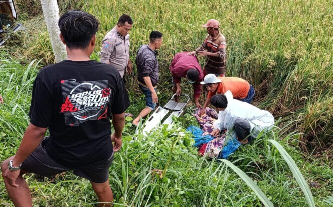 
					Evakuasi dua orang lansia asal Desa Bago, Kecamatan Pasirian,
yang meninggal akibat ditabrak truk.