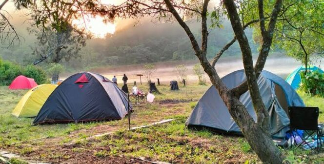 
					Kawasan Ranu Regulo, Desa Ranupani, Kecamatan Senduro, Kabupaten Lumajang.

