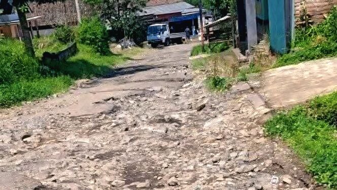 
					RUSAK: Salah satu ruas jalan yang rusak di Desa Bremi, Kecamatan Krucil, Kabupaten Probolinggo. (foto: istimewa).
