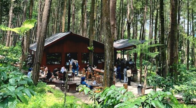 
					EKSOTIK: Keindahan alam di Gapuro Cafe dan Resort Sidomulyo, yang terletak Kecamatan Silo, Kabupaten Jember. (foto: istimewa) 