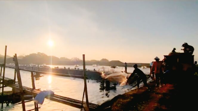 
					POLEMIK: Tambak udang milik PT Delta Guna Sukses (DGS) yang berlokasi di Dusun Sumbersari, Desa Mayangan, Kec. Gumukmas, Kab. Jember, diminta segera ditutup. (foto: M. Abd. Rozaq Mubarok).