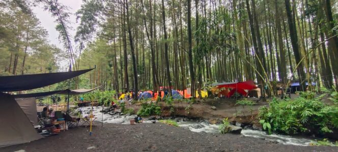 
					Kali Pinusan Poncokusumo suguhkan panorama alam yang menakjubkan.  (Foto: Asmadi)
