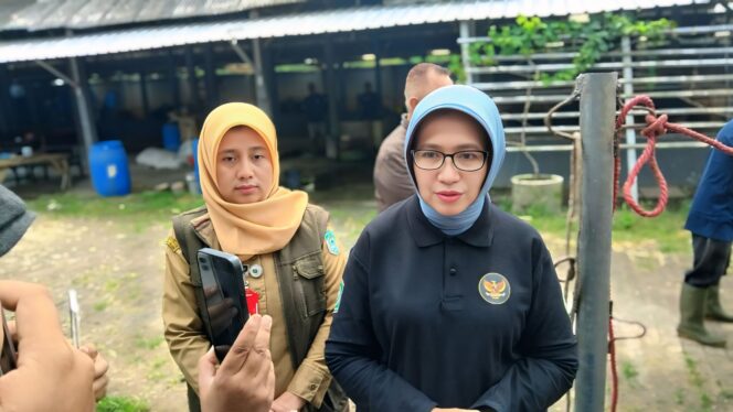 
					Bupati Lumajang Indah Amperawati.