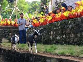 Aluna Farm & Nature, peternakan kambing di Desa Kandangan, Kecamatan Senduro, Kabupaten Lumajang (Foto: Asmadi).