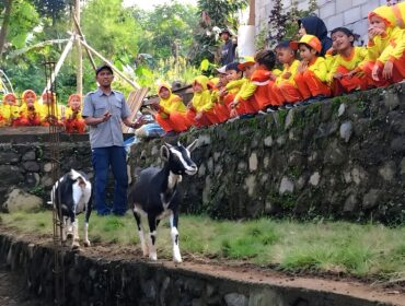 Aluna Farm & Nature, peternakan kambing di Desa Kandangan, Kecamatan Senduro, Kabupaten Lumajang (Foto: Asmadi).