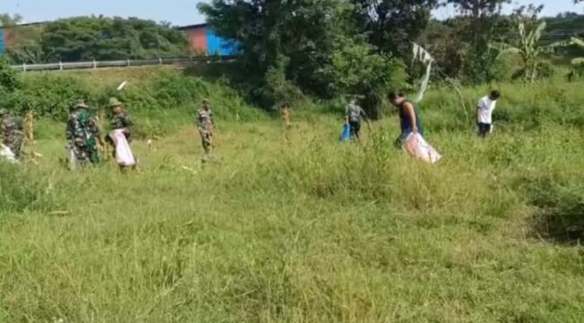 DIHENTIKAN: Penyisiran amunisi di lahan persawahan sekitar lokasi terbakarnya truk muat amunisi di ruas Tol Gempol Pasuruan, dihentikan. (foto: Moh. Rois).