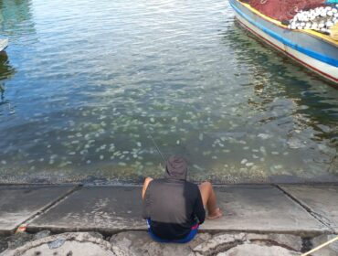 MIGRASI: Koloni ubur-ubur nampak berenang di dekat pemancing kawasan Pelabuhan Mayangan, Kota Probolinggo. (foto: Hafiz Rozani).
