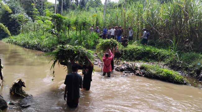 Selain jalan yang masih makadam, para peternak hewan ini harus rela menyebrang sungai untuk mencari rumput (Foto: Asmadi).
