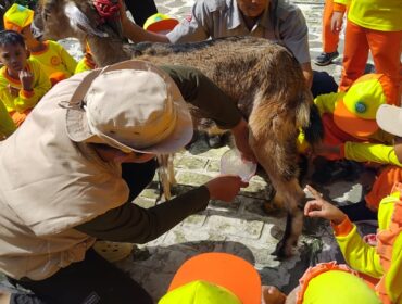 Anak-anak TK Plus Wahidiyah baru menikmati kegiatan outing plus penuh keceriaan dan edukasi di Aluna Farm & Nature (Foto: Asmadi).