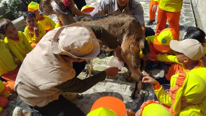 
					Anak-anak TK Plus Wahidiyah baru menikmati kegiatan outing plus penuh keceriaan dan edukasi di Aluna Farm & Nature (Foto: Asmadi).