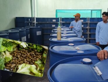 Desa Purworejo, Kecamatan Senduro,  Kabupaten Lumajang mengolah sampah organik yang ramah lingkungan dan menguntungkan secara ekonomi. (Foto: Asmadi).
