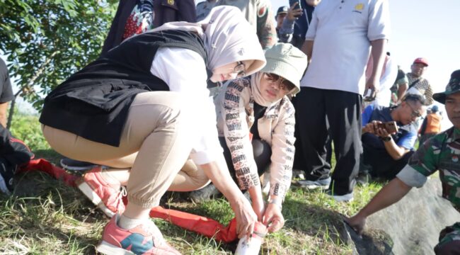 Bupati Lumajang, Indah Amperawati menghadiri kegiatan gropyokan tikus. (Foto: Asmadi).