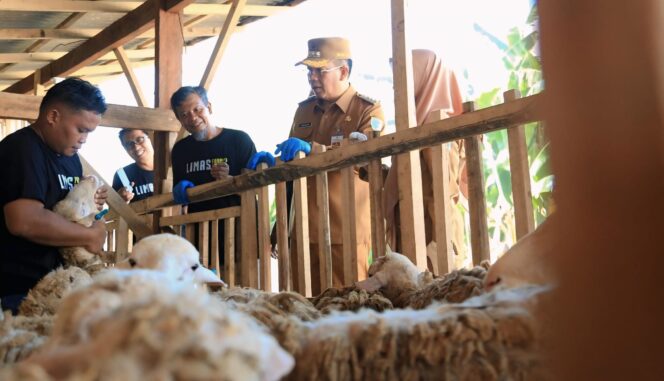 
					SIDAK: Wali Kota Probolinggo, dr. Aminuddin, saat sidak hewan kurban ke Limas Farm. (foto: Hafiz Rozani).