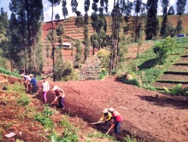 BERTANI: Warga lereng Bromo sedang menggemburkan tanah sebelum ditanami sayuran. (foto: istimewa).