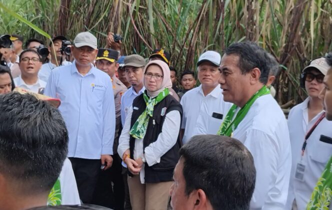 
					Mentan kunjungi lahan tebu milik PG Djatiroto, Desa/Kecamatan Jatiroto, Kabupaten Lumajang. (Asmadi).
