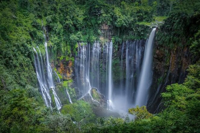 
					Wakil Menteri Pariwisata dan Ekonomi Kreatif RI, Ni Luh Enik Ernawati, secara tegas menyatakan bahwa praktik pungutan liar (pungli) yang sebelumnya ramai dikeluhkan wisatawan di kawasan Tumpak Sewu (Asmadi).