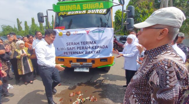 DILEPAS: Pelepasan truk bermuatan sapi prrah bunting oleh Gubernur Jatim dan Kementerian Pertanian RI kepada mitra peternak. (foto: Hafiz Rozani).