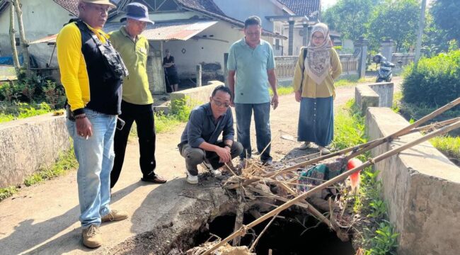 CEK: Ketua Komisi C DPRD Jember, Ardi Pujo Prabowo, saat meninjau langsung jembatan penghubung Desa Gumelar dan Desa Balung Lor yang mengalami kerusakan parah, Selasa (15/7/25) siang. (Foto: Istimewa).