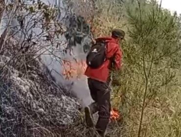 Kondisi kebakaran hutan di lereng Gunung Arjuno, kawasan Tahura Raden Soerjo, Pasuruan, saat api masih menyala.
