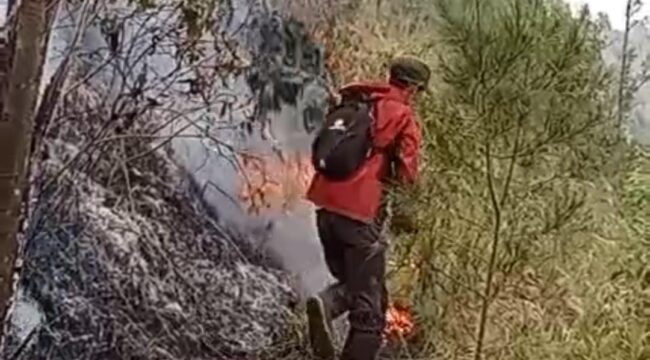 Kondisi kebakaran hutan di lereng Gunung Arjuno, kawasan Tahura Raden Soerjo, Pasuruan, saat api masih menyala.
