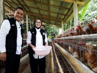 Bupati Indah dan Wabup Yudha saat meninjau peternakan ayam petelur dan burung puyuh di Desa Buwek. (Foto: Diskominfo Lumajang).