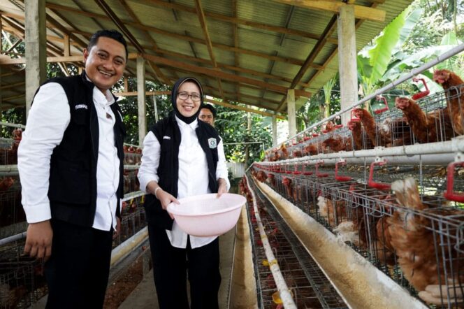 
					Bupati Indah dan Wabup Yudha saat meninjau peternakan ayam petelur dan burung puyuh di Desa Buwek. (Foto: Diskominfo Lumajang).