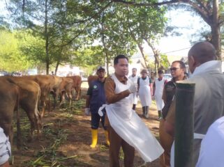 Bupati Jember, Muhammad Fawait saat meninjau langsung pemeriksaan Sapi di Kecamatan Ambulu, Jember, Senin, (28/7/25).  (Foto: M. Abd Rozaq Mubarok).
