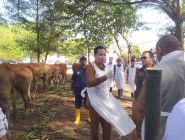 Bupati Jember, Muhammad Fawait saat meninjau langsung pemeriksaan Sapi di Kecamatan Ambulu, Jember, Senin, (28/7/25).  (Foto: M. Abd Rozaq Mubarok).
