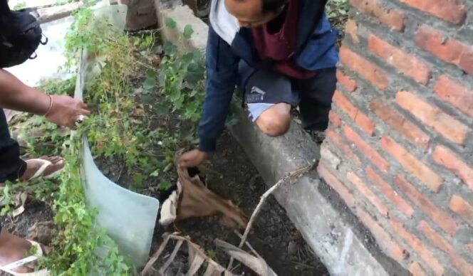 
					Pelaku FTW (36) menunjukkan lokasi penyembunyian pakaian dalam hasil curian kepada polisi.