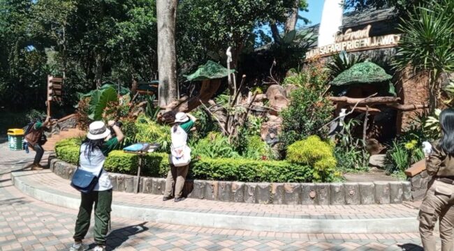 Sejumlah peserta IAPVC 2025 membidik momen satwa di kawasan Taman Safari Prigen, Pasuruan.