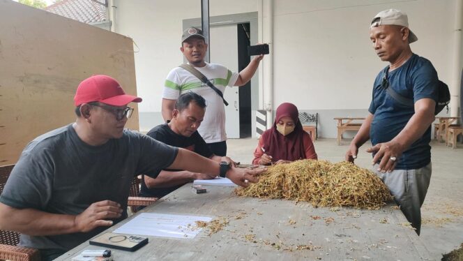 
					TES AROMA: Kuasa pembelian pabrik tembakau, M. Suli Faris mencium tembakau untuk menentukan harga yang dijual oleh petani. (foto: Ali Ya’lu)