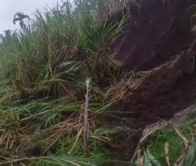 
					Material longsor menutup jalan di Senduro, Lumajang. (Foto: Asmadi)
