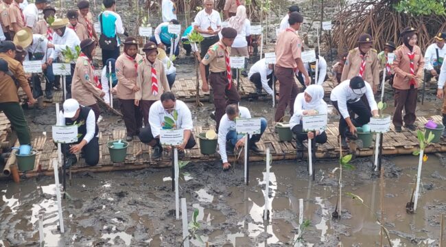 CEGAH ABRASI: Gubernur Jawa Timur, Khofifah Indar Parawansa menanam mangrove di Pantai Bahak ditemani Bupati Probolinggo, Gus Haris. (foto: Hafiz Rozani).
