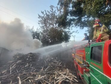 PEMADAMAN; Petugas Damkar Kota Probolinggo saat memadamkan api yang membakar tumpukan kayu. (Foto: Hafiz Rozani).
