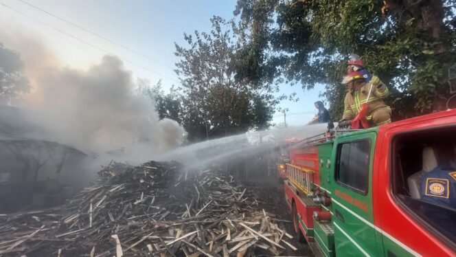 
					PEMADAMAN; Petugas Damkar Kota Probolinggo saat memadamkan api yang membakar tumpukan kayu. (Foto: Hafiz Rozani).
