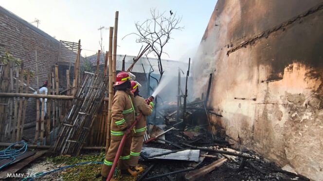 
					PEMADAMAN: Petugas Damkar Kota Probolinggo saat memadamkan api yang membakar kandang kambing. (Foto: istimewa)