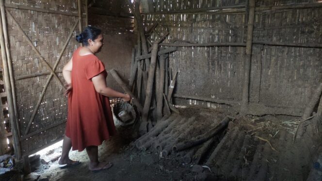 
					KEMALINGAN: Anak pemilik sapi, Siti Aisyah, menunjukkan lokasi sapi yang raib dicuri maling di Kelurahan Kareng Lor, Kecamatan Kedopok, Kota Probolinggo. (Foto: Hafiz Rozani).